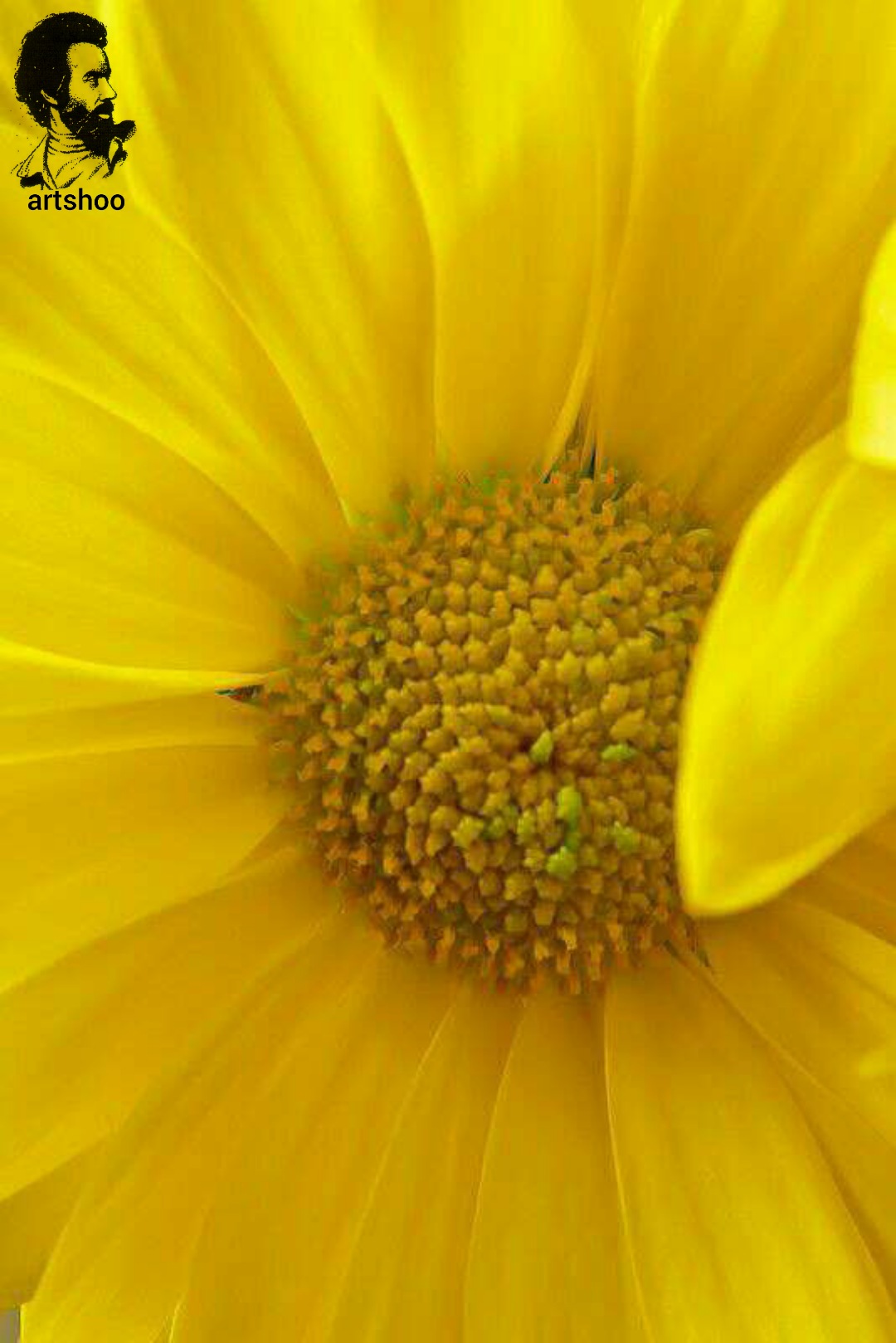 گل اورژینال رنگ روغن